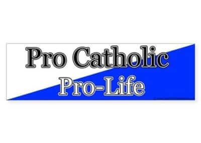 Pro-Life Americans Must Help Defend the Democratic Process