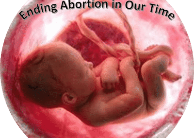 Strategies to Eliminate Abortion in Our Time