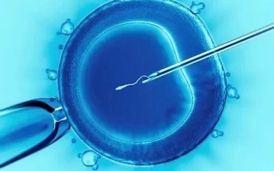 IVF Ignorance