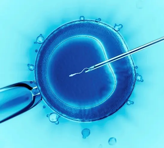 IVF Ignorance